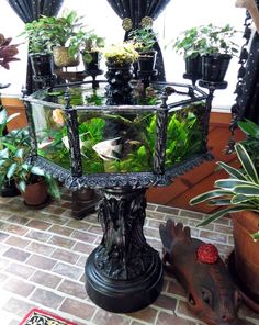 there is a fish tank in the center of this table with plants and other decorations