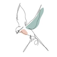 a drawing of a bird flying with its wings spread out and it's beak extended