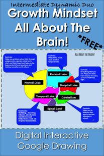 an interactive book about the brain and how to use it for learning with google drawings