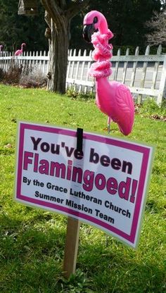 a pink flamingo standing on top of a sign in the grass