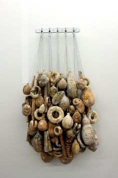 a bunch of different types of mushrooms hanging from hooks on a wall in front of a white wall