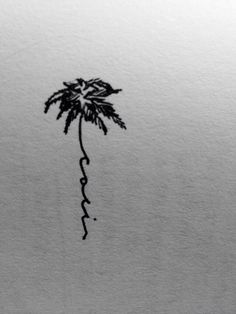 a black and white photo of a palm tree with the word love drawn on it