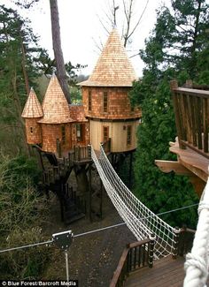 several wooden structures in the woods with ropes hanging from it's sides and trees around them