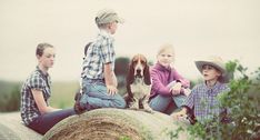 three children and a dog sitting on top of a rock