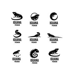 six different logos with lizards on them