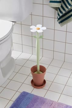 a potted plant with a single white flower in it on a bathroom floor next to a toilet