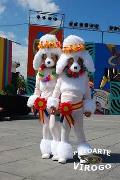 two people dressed in costumes standing next to each other