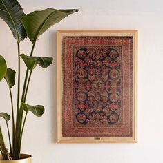 a large rug hanging on the wall next to a potted plant