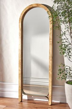 an arched mirror sitting on top of a wooden floor next to a potted plant