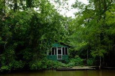 a small green house sitting on top of a river surrounded by trees and bushes in front of it