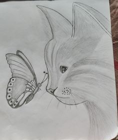 a drawing of a cat with a butterfly on its nose