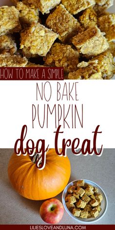 no bake pumpkin dog treat with text overlay