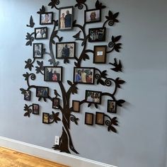 a family tree with many pictures hanging on it's sides and the branches are arranged in multiple frames