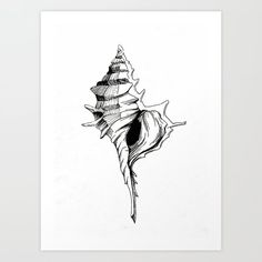 a black and white drawing of a sea shell