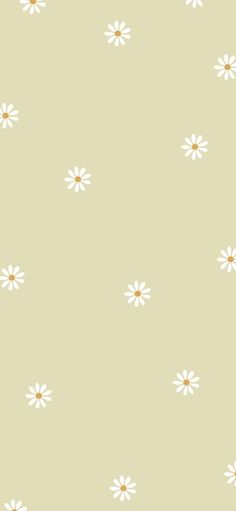 white daisies on a light green background