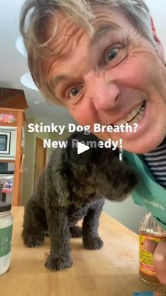 17K views · 479 reactions | Stinky Dog Breath? Try this New Remedy! #dogbreath #halitosis #badbreath #homeremedy #veterinarysecrets | Veterinary Secrets Stinky Dog Breath, Stinky Dog, Dog Breath, Dog Activities, Home Remedies, The Secret, Audio, The Originals