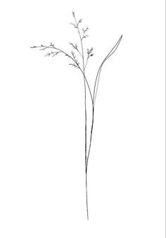 Womens Forearm Tattoo Fine Line, Long Delicate Tattoo, Long Stem Flowers Tattoo, Flower Tattoo Long Stem, Dainty Vertical Tattoo, Long Simple Tattoo, Straight Line Flower Tattoo, Wild Flower Fine Line Tattoo, Back Line Tattoo Women