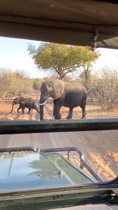 an elephant and her baby walking across the road