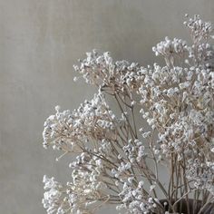 a vase filled with white flowers on top of a table