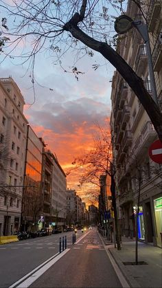 the sun is setting over an empty city street with tall buildings on both sides and trees in the foreground