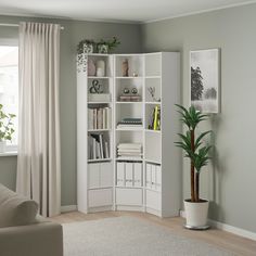 a living room filled with furniture and a potted plant