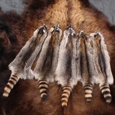 the fur is brown and black with stripes on it