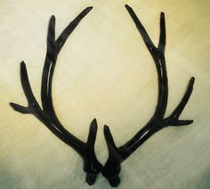 two deer antlers are shown on a white surface