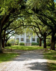 a white house surrounded by trees and grass