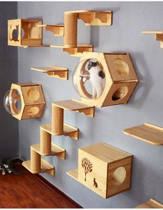 a cat is looking through a hole in the wall with several wooden shelves on it