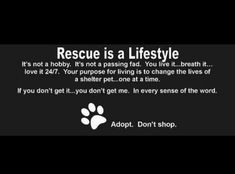 a dog's paw is shown with the words rescue is a lifestyle