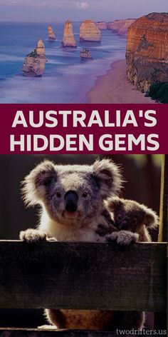 the cover of australia's hidden gemss with an image of a koala bear