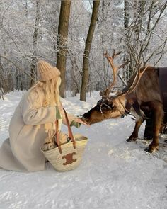 a woman sitting in the snow next to a reindeer with a basket on it's nose