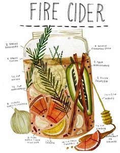 an illustration of a fire cider with ingredients labeled in the top right hand corner