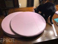 a black cat standing on top of a wooden table next to three pink round plates