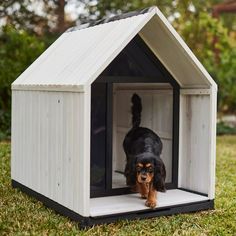 a black and brown dog in a white house on the grass with trees behind it