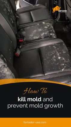 the interior of a vehicle with dirty seats and text overlaying how to kill mold and prevent mold growth