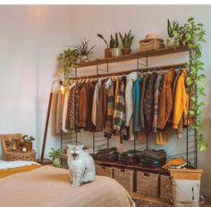 a white cat sitting on top of a bed next to a rack filled with clothes