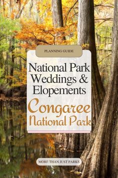 the national park wedding and elopements congregate national park