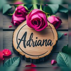 a rose sitting on top of a wooden sign with the word adria written in it