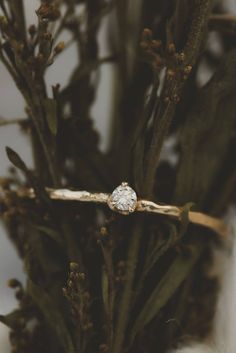 a diamond ring sitting on top of a twig in front of a plant with leaves