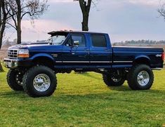 a blue pickup truck parked on top of a lush green field next to a tree