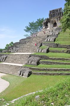 an outdoor area with stone steps and green grass on the ground, surrounded by trees