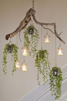 a chandelier made out of branches and glass jars filled with plants hanging from the ceiling