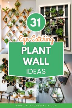 a plant wall with the words 31 eye catching plant wall ideas