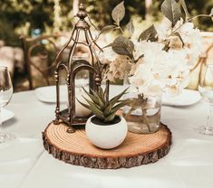 an arrangement of flowers and plants in vases on top of a wooden slice at a table