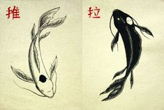 two drawings of koi fish with chinese writing on the bottom and below one drawing