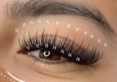 Maping Pestañas Mink Natural, Maping Pestañas Mink, Butterfly Lashes, Types Of Eyelash Extensions, Lash Extentions