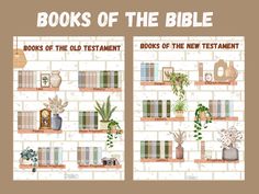 books of the bible are arranged on shelves with plants and potted plants in them