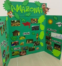 a green bulletin board with pictures and words on it that spell out the word mazonia