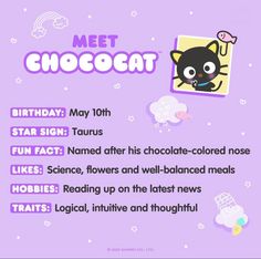 a purple poster with an image of a cat and the words meet chocolate on it